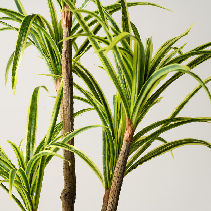 90cm Real Touch Yucca in White Speckled Plastic Pot